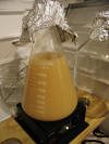 1000ml Starter.jpg (57597 bytes)