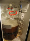5gal Batch Pitched.jpg (40672 bytes)
