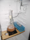 Starter and Slants.jpg (29719 bytes)